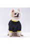 Black Shine Cat Dog Sweatshirt - Cat Dog Outfit - 2