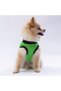 Green Travel Cat Dog Sweatshirts - Cat Dog Outfit - 2