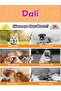 7 Different Patterns and Colorful Plush Dog Toys - Effective for Outside Health - 2