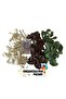 Balloon Set Chocolate Coffee-Eucalyptus-White 100-Piece Balloon Chain Set - 3