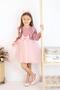 Girl's Dress with Velvet Puffy Skirt Pink - 4