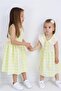 Plaid Pattern Frilly Collar Baby Girl Dress Yellow - 5