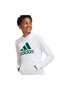 Big Logo Essentials Cotton Kapüşonlu Üst - 6