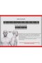 AIRFLOW 2 MAT KUM KASK SİYAH CAM - 5