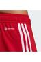 Tiro 23 Sho Men's Football Training Shorts Ib8082 Red - 5