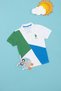 Boy's Green Polo Neck T-Shirt 50281557-Vr054