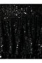 Sequined Skirt - 6