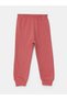 Crew Neck Long Sleeve Floral Baby Girl Sweatshirt and Sweatpants Set of 2 - 3