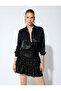 Sequined Skirt