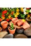 Red 50 Pcs Tiny Terracotta Pots - 1.3 inch Small Mini Clay Pots with Drainage Holes Flower Nursery T - 2