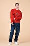 Dog Outfit for Owner Single Item - Loose Fit, Pou Series Cacti Sweatshirt - 7