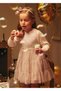 Girl's Long Sleeve Knitwear Dress Tulle - 4