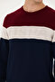 Men's Burgundy Sweater 50272119-VR014 - 7