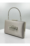 Mink Color Satin Silver Case Silver Stone Evening Dress Bag Evening Bag Portfolio - 2
