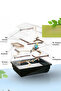 9-Piece Basic Cage Equipment of Bird Accessories and Bird Toys - 3
