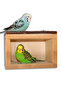 Bird Nest - Armchair Board and Shelter in One Offers Comfort with Natural Wood Structure - 2