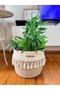 Wicker Cotton Basket Organizer Tv Blanket Basket Decorative Basket Gift Basket with Tassels - 2