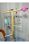 Fun Colorful Bird Perch Playground with Cage Top - 7