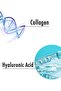 Hyaluronic Acid & Collagen Skin Care Serum 30 ml