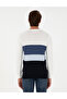 Navy Blue Slim Fit Crew Neck Sweater Sweater 50300525-Vr033 - 5