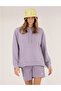 Lilac Comfort Fit Hooded Sweatshirt 50263678-Vr034
