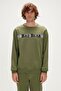 سويت شيرت رجالي من Reflect Bear Crewneck لون الزعفران الأخضر