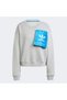 Ksenia Tag Swt Women's Gray Hoodie - 4
