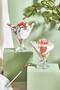 Orion 2 Pieces Glass Magnolia/Pudding/Dessert/Ice Cream Bowl