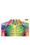Illumanatomy - 6