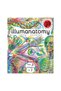 Illumanatomy - 2