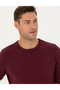 Burgundy Slim Fit Crew Neck Basic Knitwear Sweater 50270179-Vr014 - 4