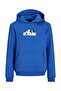 Hoodie Logo Hoodie - 7