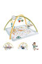Simply Senses Newborn Gym HRB15