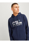 Hoodie Logo Hoodie - 6