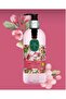 Eyüp Sabri̇ Tuncer Soap Bar 2 (Japanese Cherry, Amber, Bodrum, Liquid Soap, Foam Soap) - 4