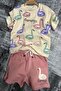 Girl's Flamingo Printed Short Sleeve Powder Shorts Suit