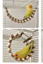 Wooden Beaded Bird Swing Pet Parrot Training Stand and Wooden Toy - 4
