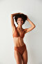 Cinnamon Grandeur Perfect Colors Underwire Bra - 5
