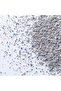 Ever Clean Fast Acting Scented Cat Litter 10 Lt - 7