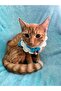 Hand Knitted Cat Dog Leash with Buckle