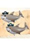 Pirate Shark Balloon Set Pirate Shark Theme Birthday Foil Balloon Set - 3