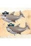 Pirate Shark Balloon Set Pirate Shark Theme Birthday Balloon Set - 3