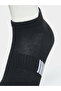 Pack of 5 - Striped Pattern Ankle Length Socks - 3