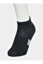 Pack of 5 - Striped Pattern Ankle Length Socks - 2