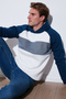 Cotton Regular Fit Color Blocked Hooded Sweat Men's Sweat 5905771