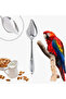Baby Parrot Feeding Spoon - 5