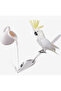 Baby Parrot Feeding Spoon - 6
