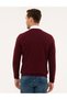 Claret Red Slim Fit V-Neck Basic Knitwear Sweater 50230806-Vr014 - 4
