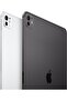 IPAD PRO 11-INCH WIFI 256GB WITH STANDARD GLASS - SPACE BLACK - 2