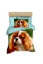 King Carles Dog Cute Single Junior Bedding Set